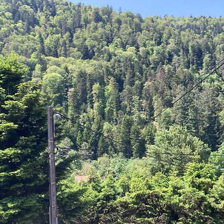 L Annexe Villa Mittlach Bagian luar foto