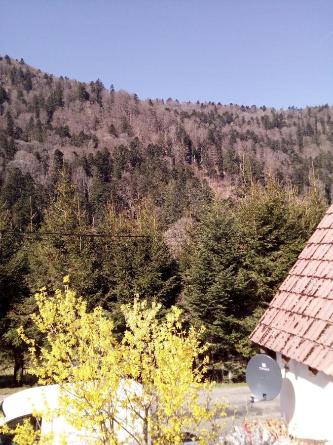 L Annexe Villa Mittlach Bagian luar foto