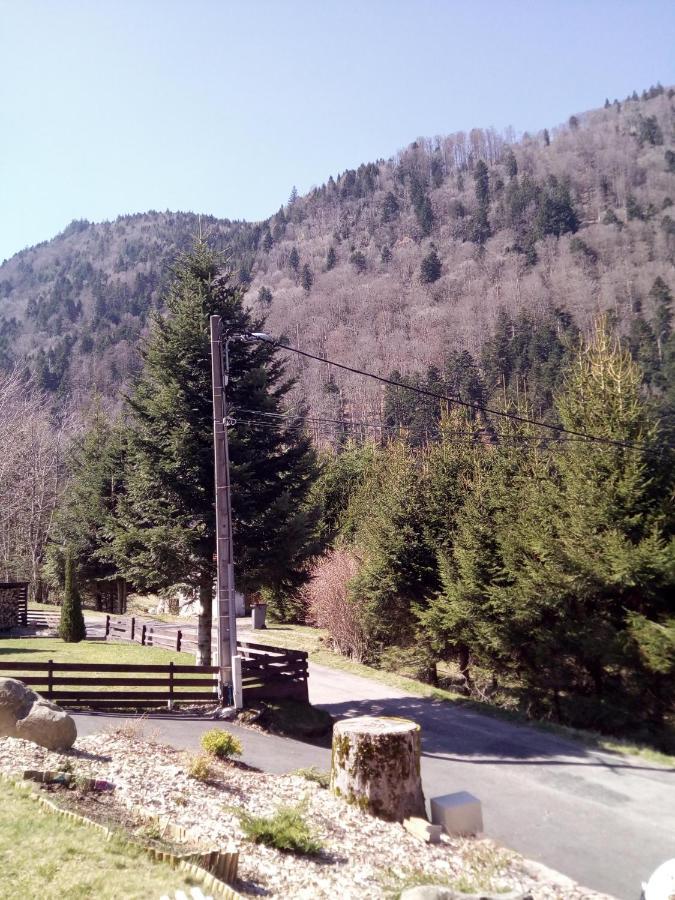L Annexe Villa Mittlach Bagian luar foto