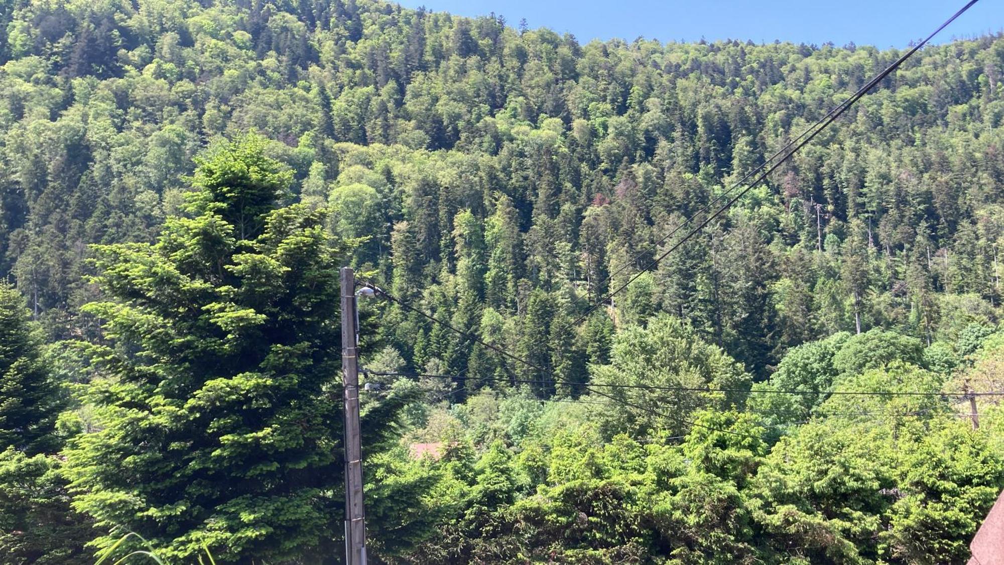 L Annexe Villa Mittlach Bagian luar foto